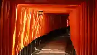 fushimi inari taisha a walkway out of red gates.fd785b47