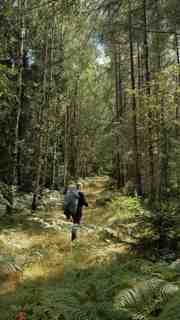 hiking path in germany.f6d01ce6