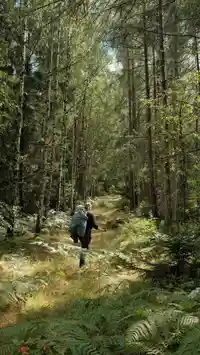 hiking path in germany.f6d01ce6