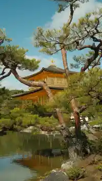 kinkaku ju a golden temple in japan.75aa4999