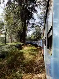 train in sri lanka.156247f6