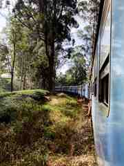 train in sri lanka.156247f6