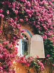 window in morocco.2a16ecc3